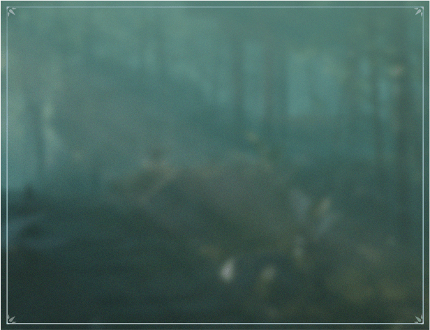 Background popup nhỏ